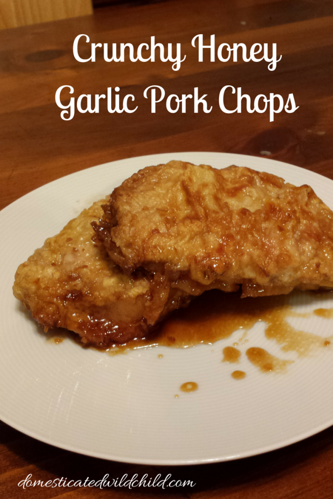 Crunchy Honey Garlic Pork Chops-2
